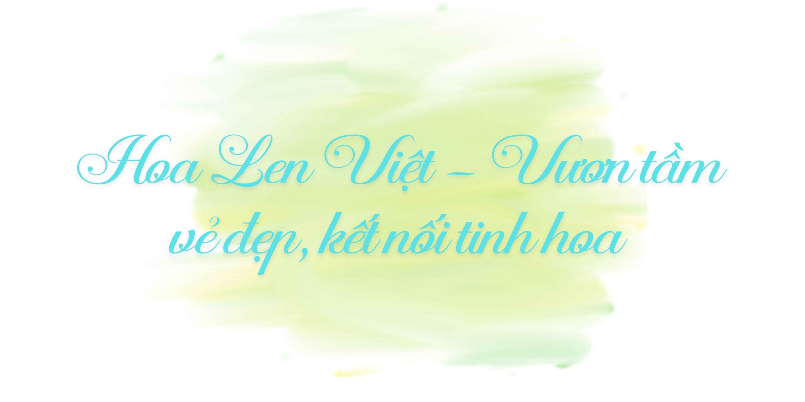hoa-len-viet